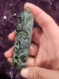 Kambaba Jasper Point Tower - Authentic Ancient Earth Stone | Heart Chakra Healing & Tranquility Crystal Wand