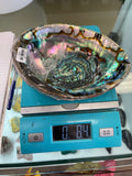 Abalone Shell-Large